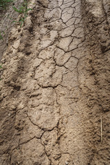 dry cracked earth on a rural road