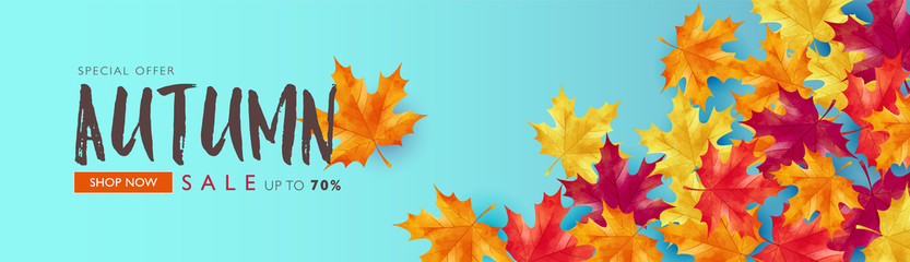 Autumn sale banner decorates with maple leaves on light blue background. Vector illustration template.