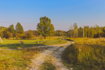 rural landscape in autumn morning