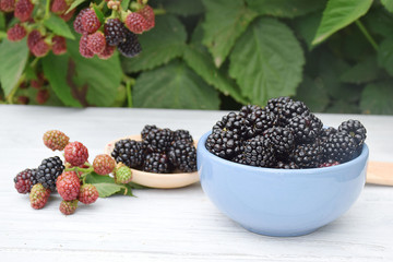 Fototapeta na wymiar Plate of ripe blackberries on white wooden background