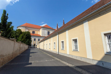 Fototapeta premium Szombathely Cathedral in Hungary