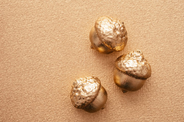 autumn background with golden acorns top view