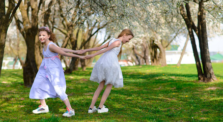 Naklejka na ściany i meble Beautiful young girls with blue eyes in a white dresses in the garden with apple trees blosoming having fun and enjoying smell of flowering spring garden.