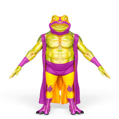 frog the big fighter in white background