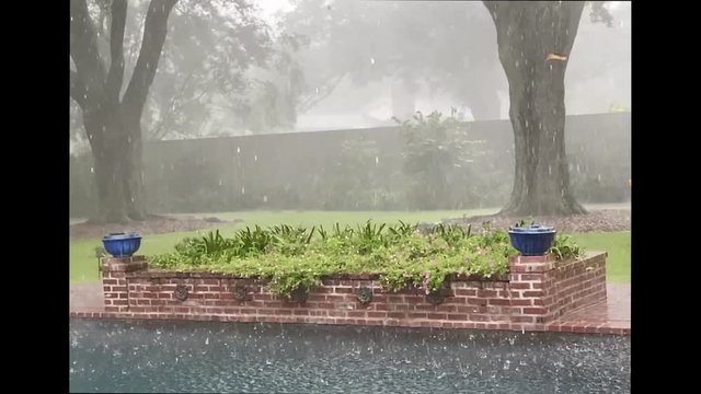 Slow Motion Rain with Falling Leaf Similar to Feather in Forest Gump