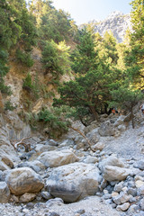 Samaria Schlucht auf Kreta