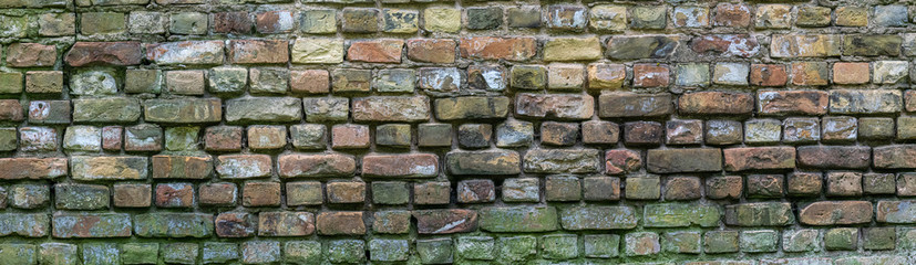 surface of wall built of yellow brick with moss. panoramic background.