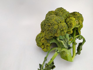 aerial view of a broccoli with a white background