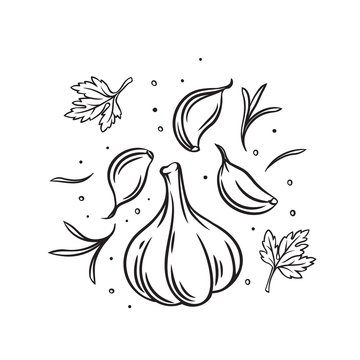 Falling garlic with herbs and spices