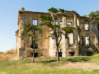 Mystical Interior, ruins of facade of an abandoned ruined building of an ancient castle 18th...