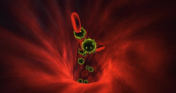 Infected Red Blood Cells Flowing Inside Human Vein. Virus Related Health Issues. Perfect Loop. Science And Health Related High Quality 3D Animation.