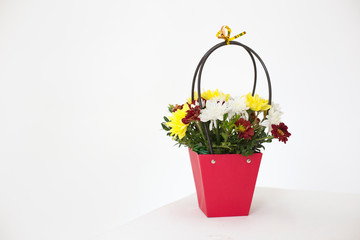 Bouquet of colorful chrysanthemums in a red box
on the white background