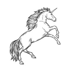 Magic unicorn vector illustration in vintage engraving style. Stylish symbol, artwork, tattoo. Horse vector illustration in hand drawn retro style. © Very Well Studio