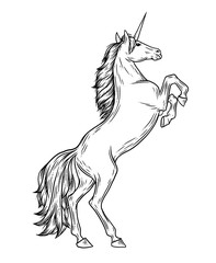 Magic unicorn vector illustration in vintage engraving style. Stylish symbol, artwork, tattoo. Horse vector illustration in hand drawn retro style. © Very Well Studio