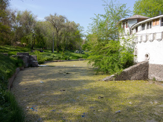 Authentic landscape polluted pond in city Park. Sewage drains into the river, the sea, the lake. Environmental pollution. Wastewater, ecological catastrophe