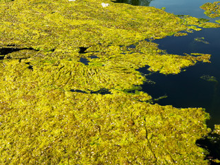 Sewage drains into the river, the sea, the lake. Environmental pollution. Wastewater, ecological catastrophe