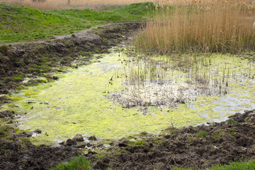 Sewage drains into the river, the sea, the lake. Environmental pollution. Wastewater, ecological catastrophe