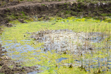 Sewage drains into the river, the sea, the lake. Environmental pollution. Wastewater, ecological catastrophe