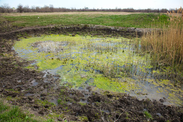 Sewage drains into the river, the sea, the lake. Environmental pollution. Wastewater, ecological catastrophe