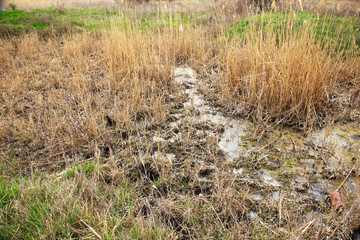 Sewage drains into the river, the sea, the lake. Environmental pollution. Wastewater, ecological catastrophe