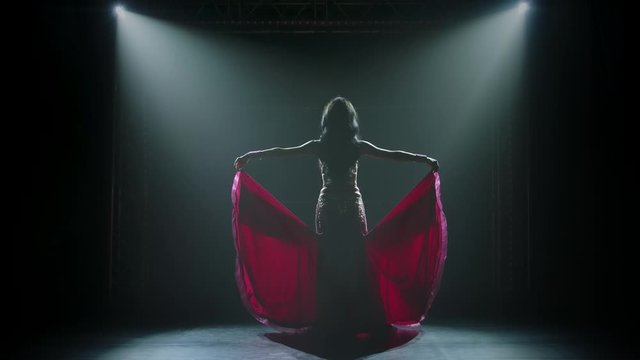 Young female belly dancer shaking her hips. Shot in a dark studio with smoke and neon lighting. Silhouettes of a slender flexible body. Slow motion.