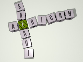 AFRICAN SAFARI crossword by cubic dice letters - 3D illustration for american and black