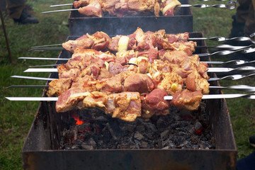 Grilled kebab cooking on metal skewer. Roasted meat cooked at barbecue.Traditional eastern dish, shish kebab. Grill on charcoal and flame, picnic, street food
