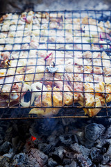 Meat and fresh vegetables on a metal grate to cook on coals. Cookout Concept.