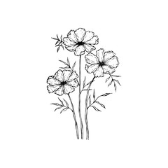 Simple and clean hand drawn floral. Sketch style botanical illustration. Great for invitation, greeting card, packages, wrapping, etc. 