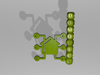 DOMOTICS text beside the 3D icon - 3D illustration