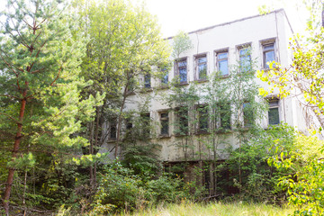 Chernobyl radioactive contamination. Overgrown of plants streets of towns and villages in Chernobyl zone. People left city during disaster. Catastrophe at nuclear power plant. Ghost town Pripyat