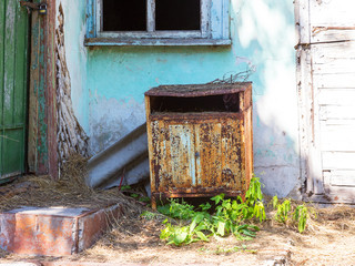 Chernobyl radioactive contamination. Overgrown of plants streets of towns and villages in Chernobyl...
