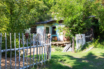 Chernobyl radioactive contamination. Overgrown of plants streets of towns and villages in Chernobyl zone. People left city during disaster. Catastrophe at nuclear power plant. Ghost town Pripyat