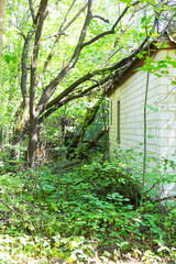 Chernobyl radioactive contamination. Overgrown of plants streets of towns and villages in Chernobyl zone. People left city during disaster. Catastrophe at nuclear power plant. Ghost town Pripyat
