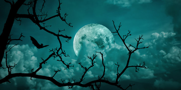 Halloween background. Spooky forest dead tree with full moon sky.