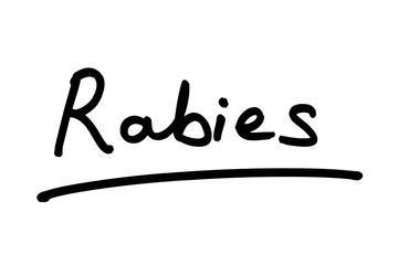 Rabies