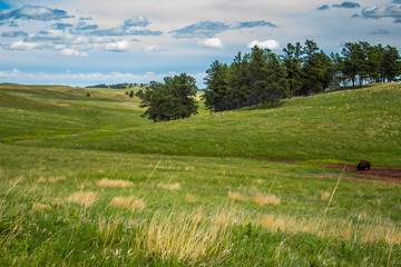 Obraz premium Plains