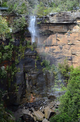 waterfall in the forest