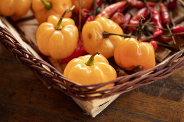 Basket peppers