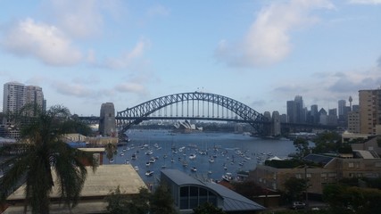 Fototapeta premium Sydney