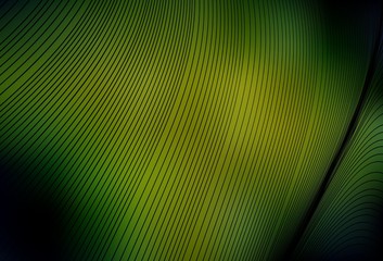 Dark Green, Yellow vector layout with wry lines.