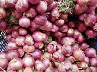 red onion spicy cooking ingredient on market.