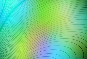 Light Blue, Yellow vector layout with curved lines.