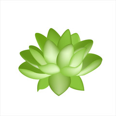 isolated lotus flower vector for design