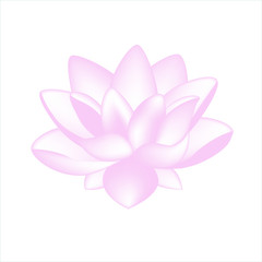 isolated lotus flower vector for design