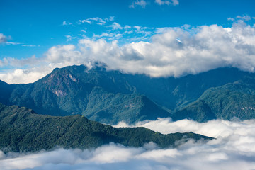 Fototapeta na wymiar Rice field terraces. Mountain view in the clouds. Sapa, Lao Cai Province, north-west Vietnam