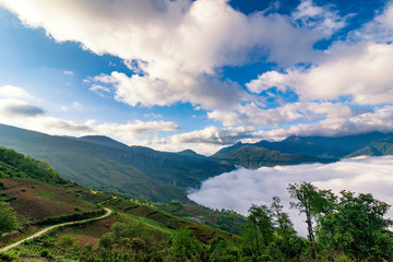 Rice field terraces. Mountain view in the clouds. Sapa, Lao Cai Province, north-west Vietnam