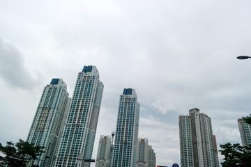Fototapeta premium modern city's skyline of building 