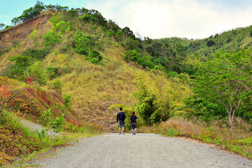 Obraz premium Pathway with trees and leaves at the sides