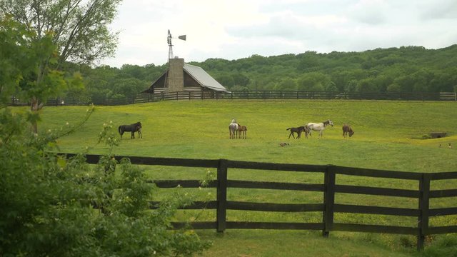 Horses grazing in a fenced pasture on a farm, with a cabin and rolling Tennessee hills during summer, cinematic slow motion wide shot